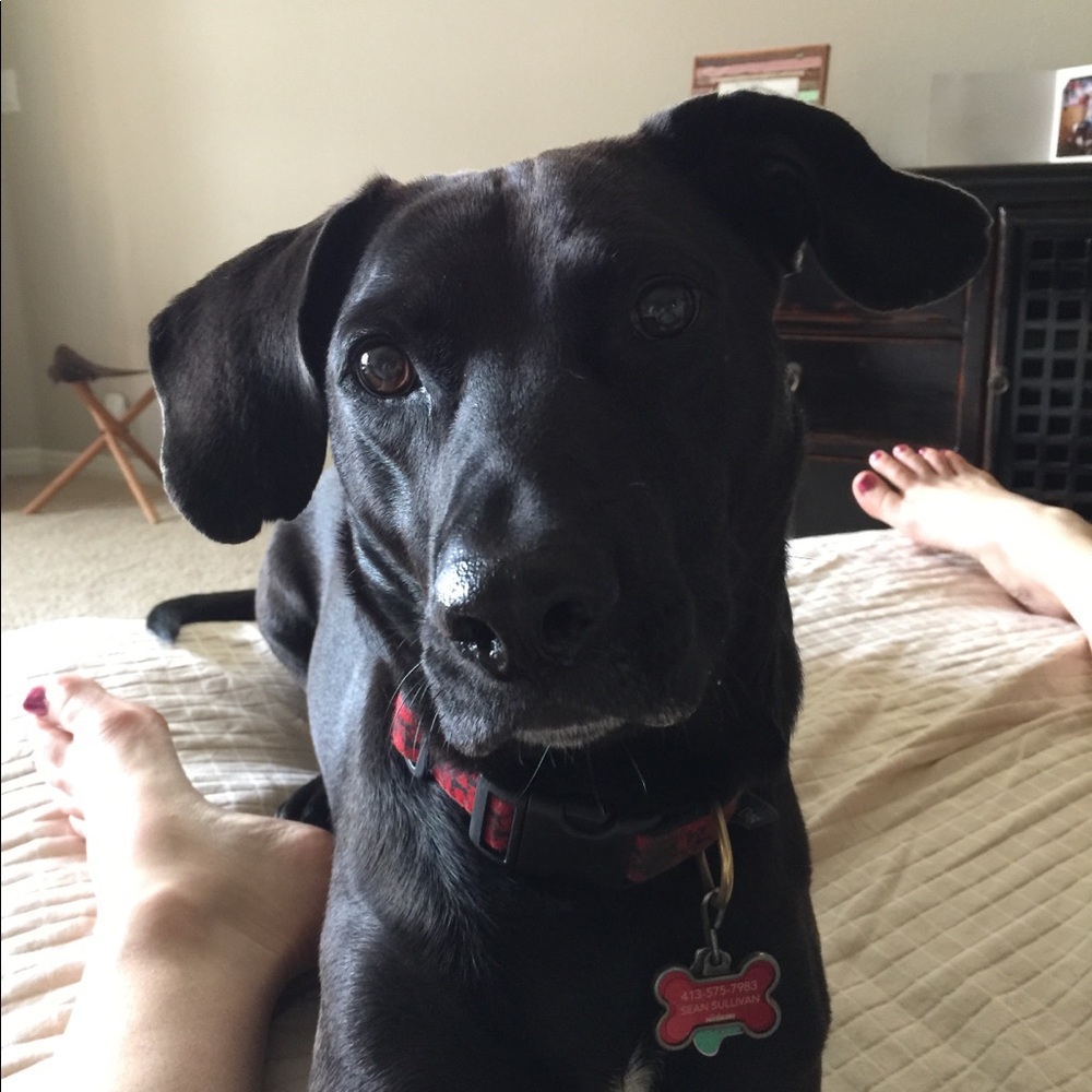 Meet your Posher, Katherine